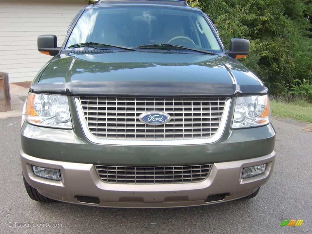 Estate Green Metallic Ford Expedition