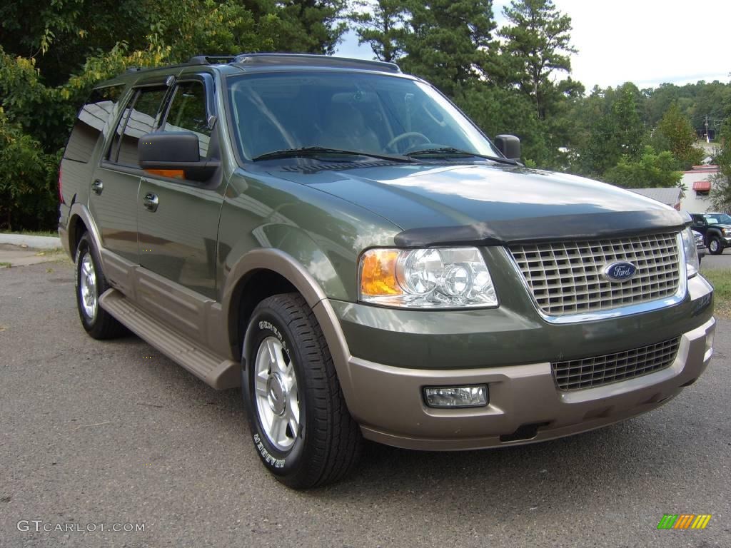 2004 Expedition Eddie Bauer - Estate Green Metallic / Medium Parchment photo #2