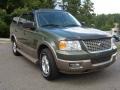 2004 Estate Green Metallic Ford Expedition Eddie Bauer  photo #2