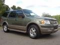 2004 Estate Green Metallic Ford Expedition Eddie Bauer  photo #3