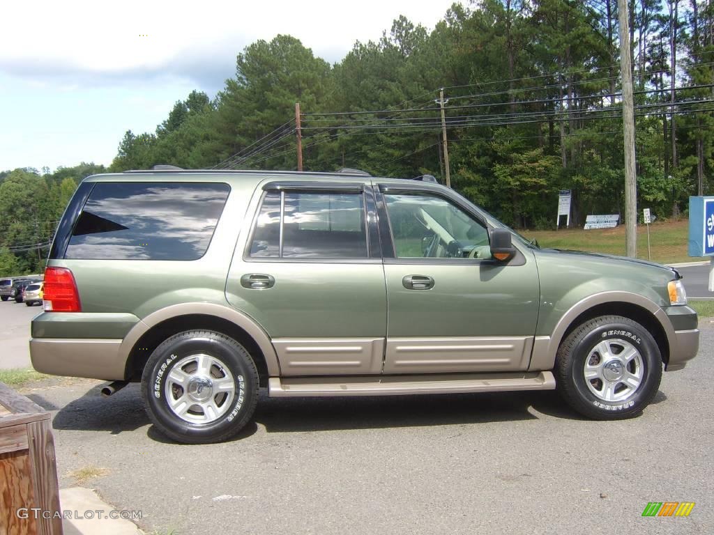 2004 Expedition Eddie Bauer - Estate Green Metallic / Medium Parchment photo #7