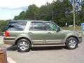 2004 Estate Green Metallic Ford Expedition Eddie Bauer  photo #7