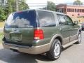 2004 Estate Green Metallic Ford Expedition Eddie Bauer  photo #8