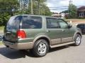 2004 Estate Green Metallic Ford Expedition Eddie Bauer  photo #9