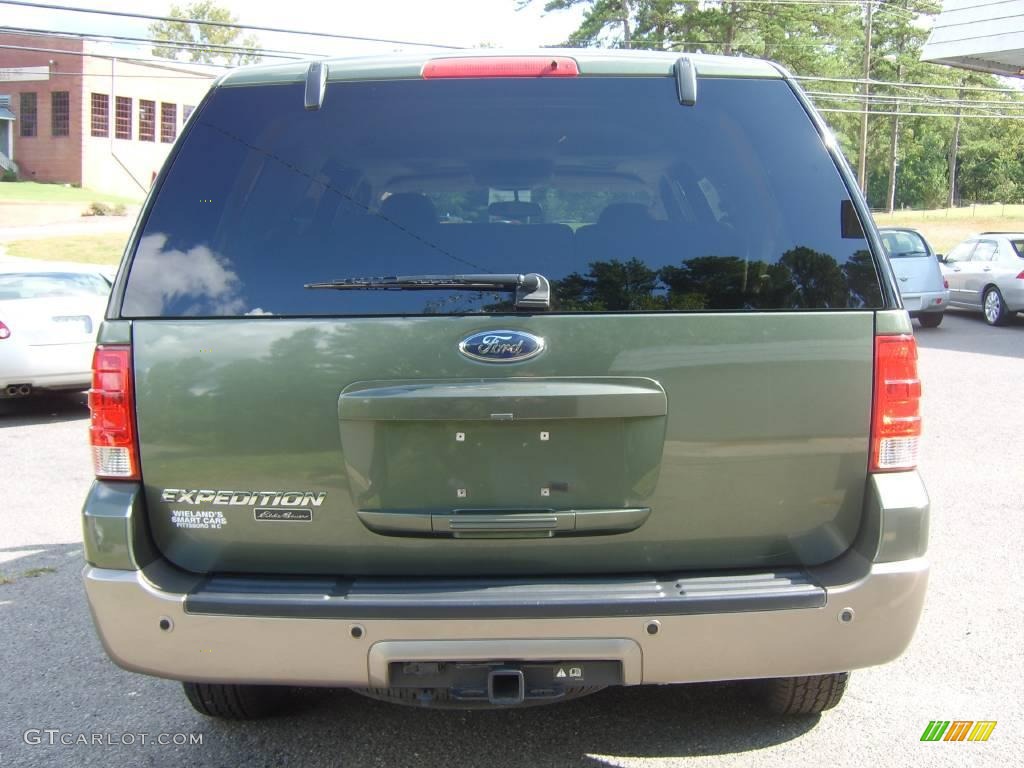 2004 Expedition Eddie Bauer - Estate Green Metallic / Medium Parchment photo #10