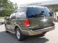 2004 Estate Green Metallic Ford Expedition Eddie Bauer  photo #11