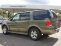 2004 Estate Green Metallic Ford Expedition Eddie Bauer  photo #12