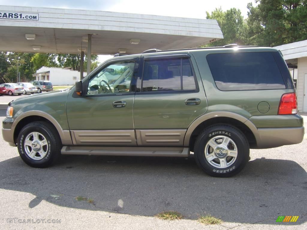 2004 Expedition Eddie Bauer - Estate Green Metallic / Medium Parchment photo #13