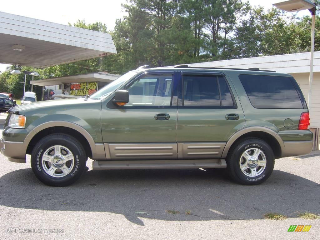 2004 Expedition Eddie Bauer - Estate Green Metallic / Medium Parchment photo #14