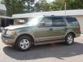 2004 Estate Green Metallic Ford Expedition Eddie Bauer  photo #15