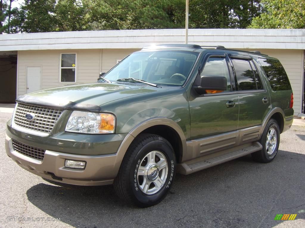 2004 Expedition Eddie Bauer - Estate Green Metallic / Medium Parchment photo #16