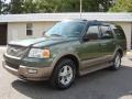 2004 Estate Green Metallic Ford Expedition Eddie Bauer  photo #16