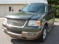 2004 Estate Green Metallic Ford Expedition Eddie Bauer  photo #17