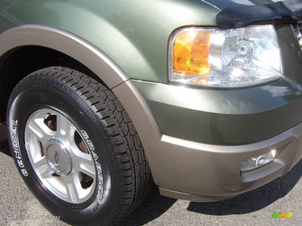 2004 Expedition Eddie Bauer - Estate Green Metallic / Medium Parchment photo #20