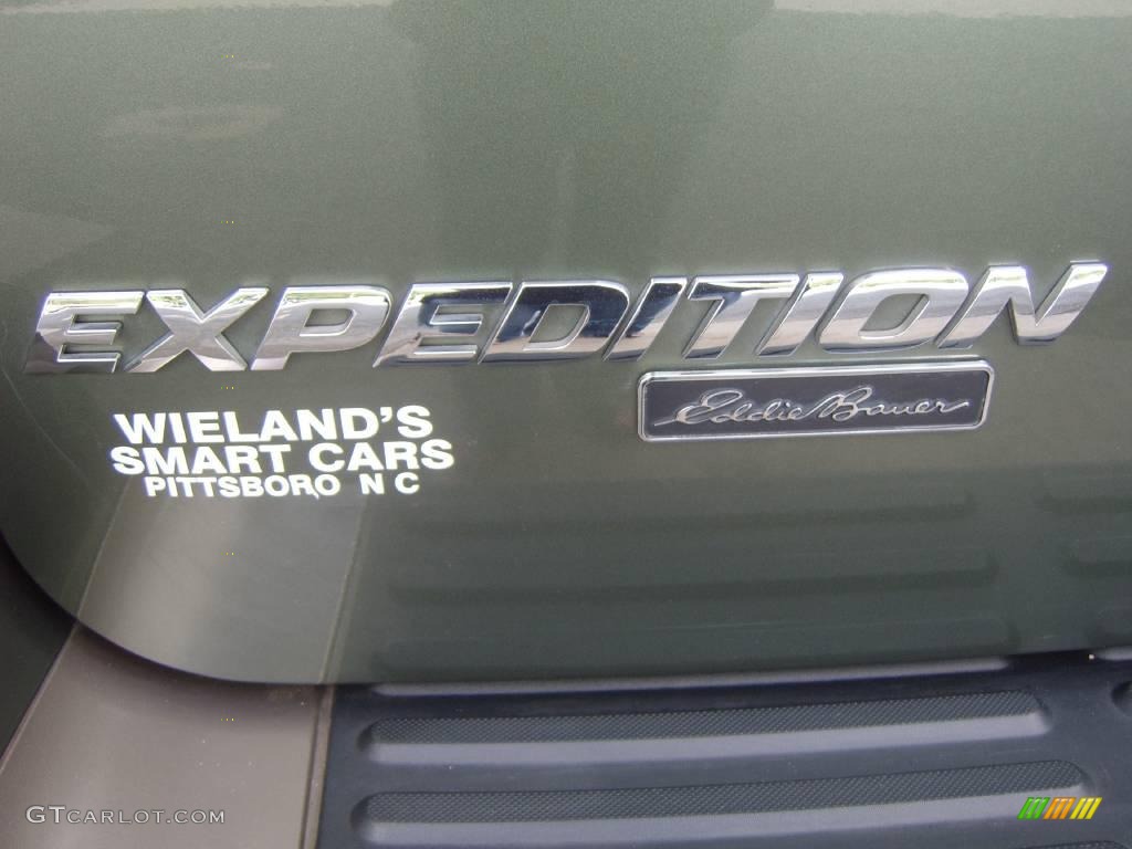 2004 Expedition Eddie Bauer - Estate Green Metallic / Medium Parchment photo #24
