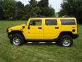 Yellow - H2 SUV Photo No. 10