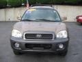 2004 Sandstone Hyundai Santa Fe GLS 4WD  photo #1