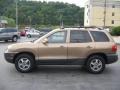 2004 Sandstone Hyundai Santa Fe GLS 4WD  photo #3