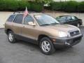 2004 Sandstone Hyundai Santa Fe GLS 4WD  photo #8