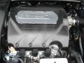 Nighthawk Black Pearl - TL 3.2 Photo No. 24