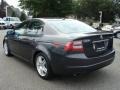 Carbon Gray Pearl - TL 3.2 Photo No. 4