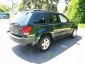 2006 Deep Beryl Green Pearl Jeep Grand Cherokee Laredo  photo #3