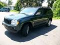 2006 Deep Beryl Green Pearl Jeep Grand Cherokee Laredo  photo #7