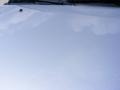 Titanium Metallic - 4Runner SR5 Photo No. 14