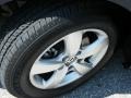 Atlantis Blue Metallic - Routan SE Photo No. 12