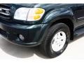 2002 Imperial Jade Green Mica Toyota Sequoia Limited 4WD  photo #21