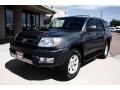 2004 Galactic Gray Mica Toyota 4Runner Sport Edition 4x4  photo #14