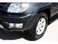 2004 Galactic Gray Mica Toyota 4Runner Sport Edition 4x4  photo #21