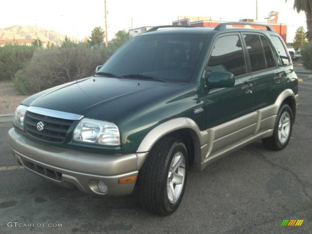 2002 Grand Vitara Limited - Grove Green Metallic / Gray photo #2