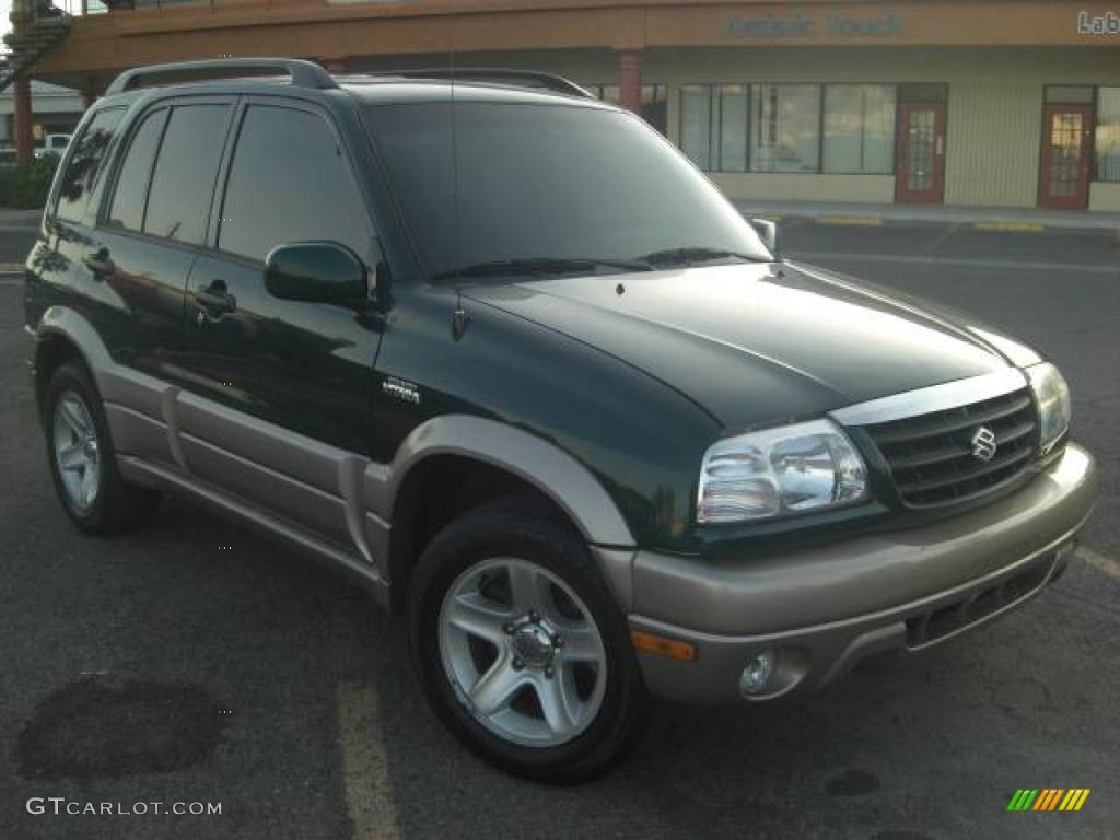 2002 Grand Vitara Limited - Grove Green Metallic / Gray photo #4