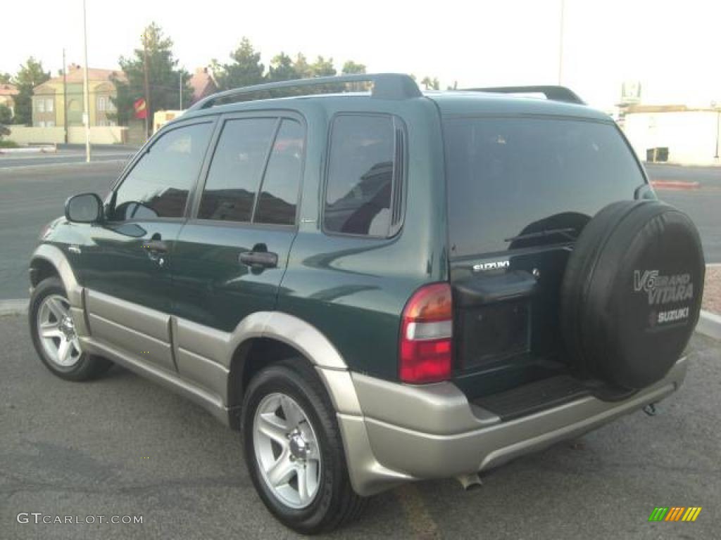 2002 Grand Vitara Limited - Grove Green Metallic / Gray photo #8