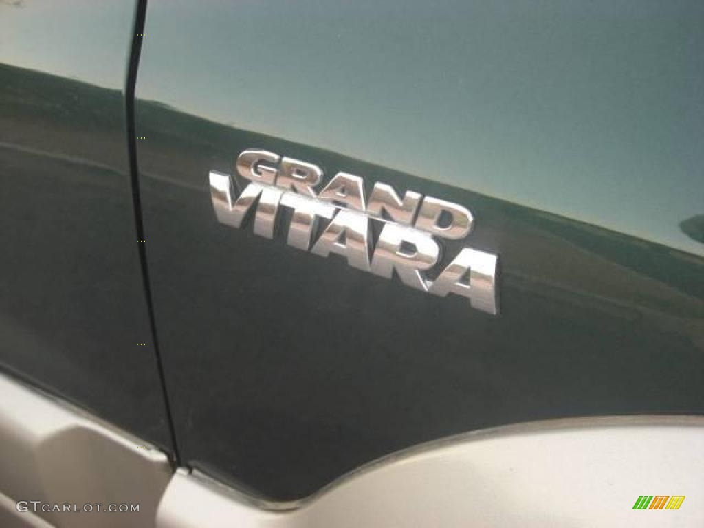 2002 Grand Vitara Limited - Grove Green Metallic / Gray photo #13