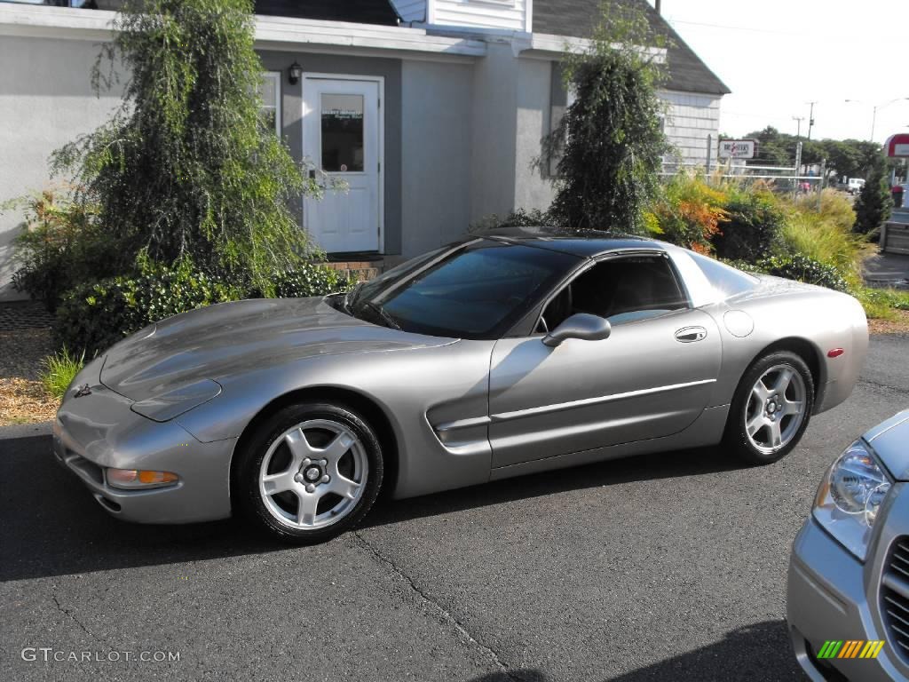 1999 Corvette Coupe - Light Pewter Metallic / Black photo #1