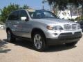 Titanium Silver Metallic - X5 4.4i Photo No. 1