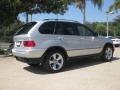 Titanium Silver Metallic - X5 4.4i Photo No. 2