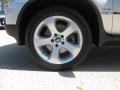 Titanium Silver Metallic - X5 4.4i Photo No. 18