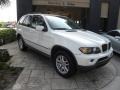 Alpine White - X5 3.0i Photo No. 1