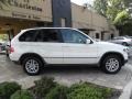 Alpine White - X5 3.0i Photo No. 2