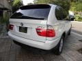 Alpine White - X5 3.0i Photo No. 12