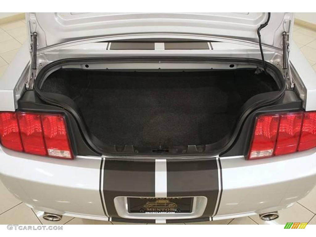 2005 Mustang GT Premium Convertible - Satin Silver Metallic / Dark Charcoal photo #19