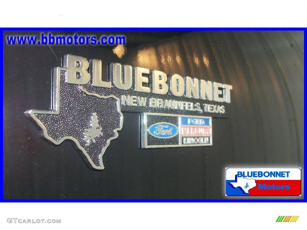 2006 F150 King Ranch SuperCrew - Black / Castano Brown Leather photo #10