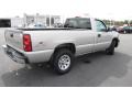 2006 Silver Birch Metallic Chevrolet Silverado 1500 Regular Cab 4x4  photo #5
