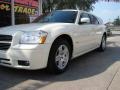 2006 Stone White Dodge Magnum SXT  photo #8