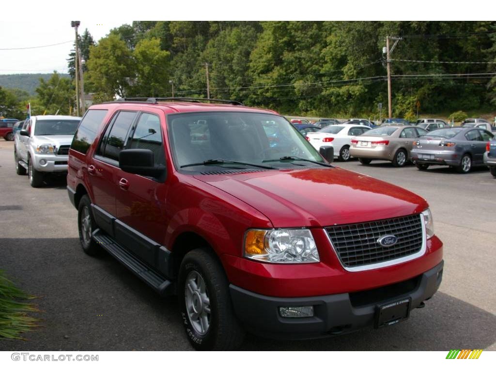 2003 Expedition XLT 4x4 - Laser Red Tinted Metallic / Flint Grey photo #18