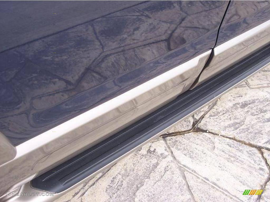 2003 Explorer Eddie Bauer 4x4 - Medium Wedgewood Blue Metallic / Medium Parchment Beige photo #10