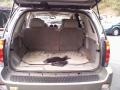 Steel Grey Metallic - Envoy Denali 4x4 Photo No. 9
